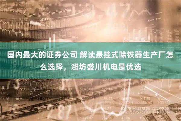 国内最大的证券公司 解读悬挂式除铁器生产厂怎么选择，潍坊盛川机电是优选